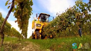 Инновационные технологии в сельском хозяйстве