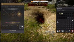 за секунду до 62 лвл волшебница  БДО