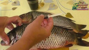 Самый быстрый способ вкусно замариновать рыбу, мясо, птицу для горячего копчения на даче.