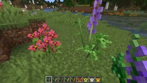 МОД НА РАСТЕНИЯ В МАЙНКРАФТ НА ВЕРСИЮ 1.16.5 Serene-Shrubbery-Mod-1.16.5