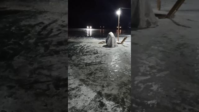 Крещение. Новосёлово. 2024