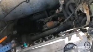 Гонит масло!!!  ПРОВЕРЬ КВКГ!!!