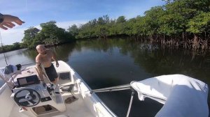 Fishing Inshore Mangroves with Shrimp! | Mako Pro Skiff 17