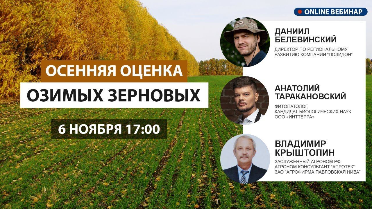 Осенняя оценка ОЗИМЫХ ЗЕРНОВЫХ и что было дальше?
