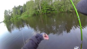 Savage Gear 3D Crucian Crank - воблер для голавля.