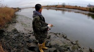 slingshot fishing carp Настрелял много сазанов с рогаткой 22.04.13