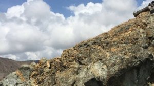 Тема 29. Почва и ее плодородие