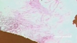 потоки лавы