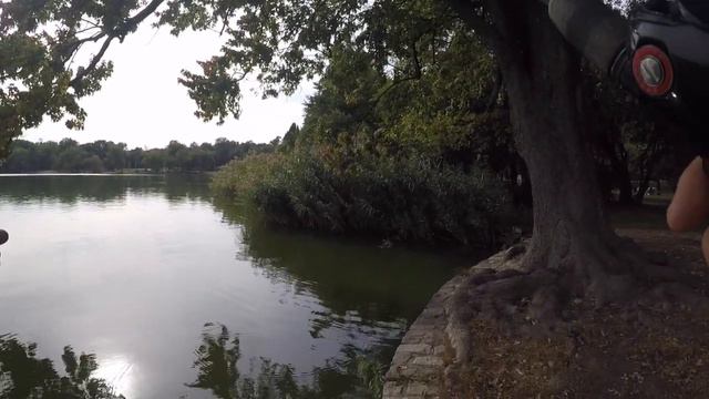 Warning - No Bass Caught!!! смотреть онлайн