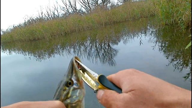 ЩУКА НА БЛЕШНЮ !!! СПІНІНГ НА МАЛІЙ РІЧЦІ В ЛИСТОПАДІ !!! ІНГУЛЕЦЬ !!! смотреть онлайн