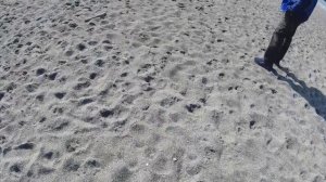 Абхазия в апреле.Стоит ехать однозначно.