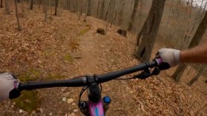 This Budget Hardtail Exceeds Expectations! 2022 Polygon Xtrada 7!