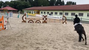 Vlog! Старты по конкуру. До финиша!