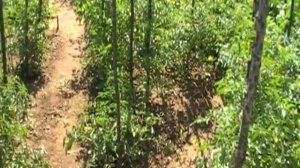 Лучшее подворье Забайкальского края с.Смоленка