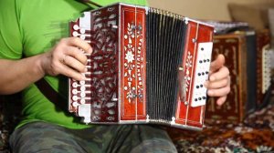 Мимо этой вишни на Любительской гармони