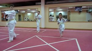 Тхэквондо WTF аттестация на желтый пояс