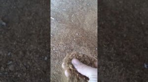 Микромельница мм-10