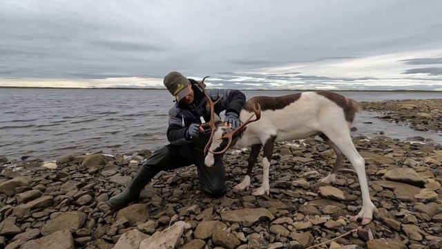 Рыбалка на Ямале часть 2