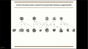 Об одной группе двусторонних подражаний Нижегородско-Суздальского княжества