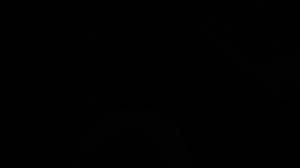 Малосольная горбуша к праздничному столу. Самый вкусный и быстрый способ приготовления.