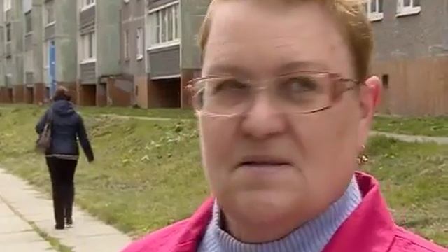 Площадки для выгула собак в Череповце нужны, но денег на них нет, уверяют власти смотреть онлайн