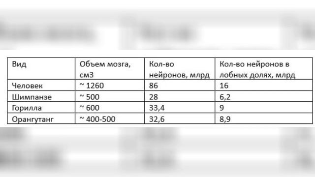 2. Чем отличается человек от обезьяны ? смотреть онлайн