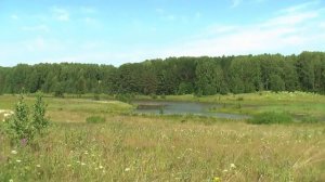 Мокинский пруд