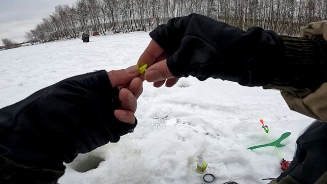Форелевая рыбалка. Канал Среда рыбака. Тест подводной камеры rivertech c5. Подводные съёмки.