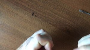 RESTORATION  PHONE FLY DS105