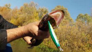 УВАРОВО РЫБАЛКА УДАЛАСЬ ОСЕНЬ 2020