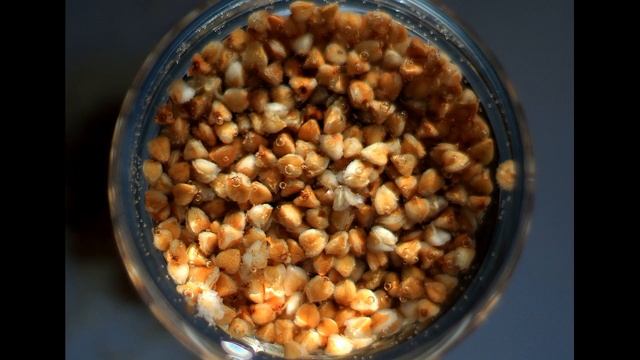 Противовоспалительное действие, Антиноцицептивное обезбаливающее, Гречиха смотреть онлайн