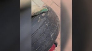 Резина летняя 1.yokahama 205 55 r16 2.yokahama 225 60 r17 3. Bridgestone ecopia 225 55 r17