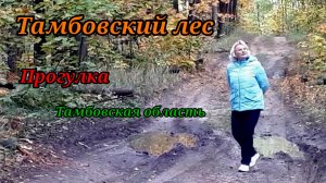 Тамбовский лес без волков.