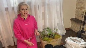 неприхотливый красавчик Гипоэстес для создания композиций, обрезаю, черенкую