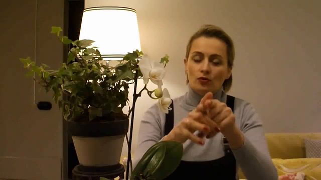 Интерьер и психотип, полезные советы.