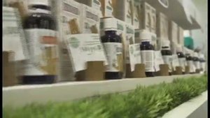 Бобродок - Сашера-Мед