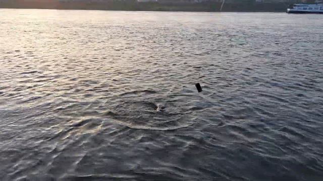 Часть 2/ Усач пойман/ Речной король/ Рыбалка на фидер/ Усач, Barbe, Mrena. смотреть онлайн