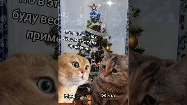 обещание жене
