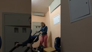 Stokke trailz 3 в 1