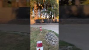 Как выглядит ДЕРЕВНЯ в БЕЛЬГИИ - 1