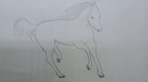 Как нарисовать лошадь? Поэтапное объяснение.