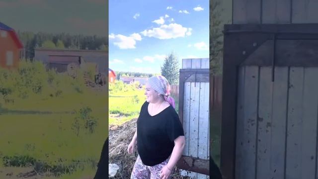 Обработка коровы креолином смотреть онлайн