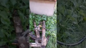 чистка скважины аэрлифтом и прокачка