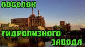 Прогулка по Поселку Гидролизного завода (с Артемом Беляевым)