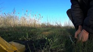 Ловля певчих птиц - Расстановка тайника