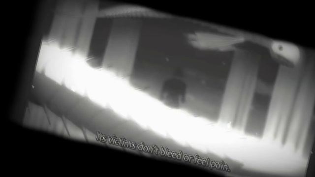 Phantom troupe edit ? смотреть онлайн