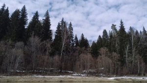 Веловодный поход Шаликово, Москва река, ст.Партизанская