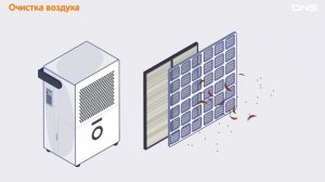 Как выбрать ОСУШИТЕЛЬ ВОЗДУХА?