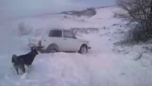 Нива на цепях.mp4