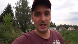 Солнечный био вегетарий летом. Проект Зеленый Двор. Сад Нурова.